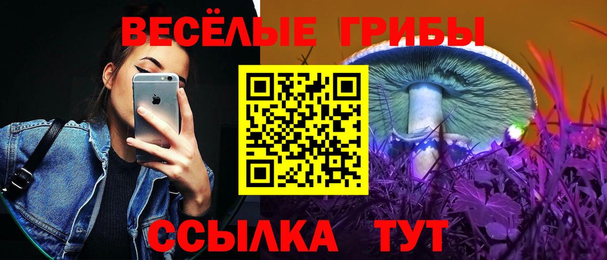 Избербаш  Псилоцибиновые грибы Magic Shrooms  Вход с VPN  Псилоцибиновые грибы Magic Shrooms 